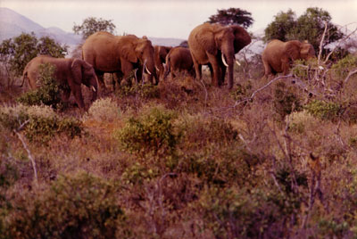 Tansania, 1969